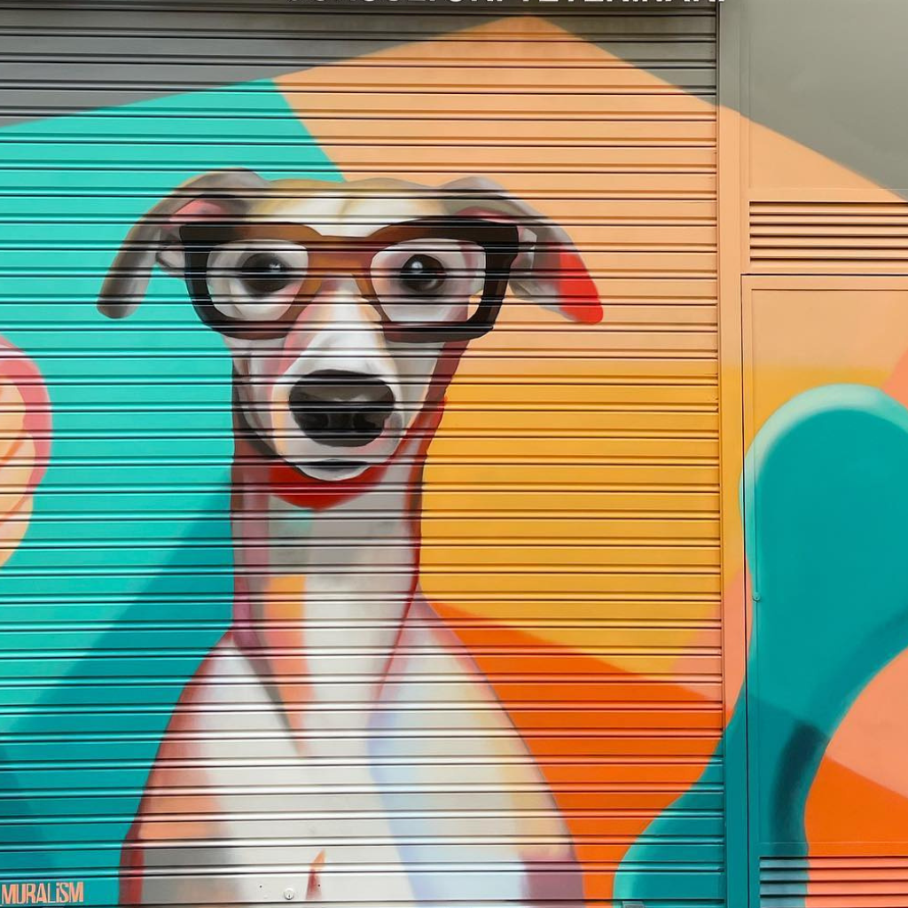 Graffiti en persiana para clínica veterinaria